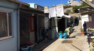 visita ilhas2